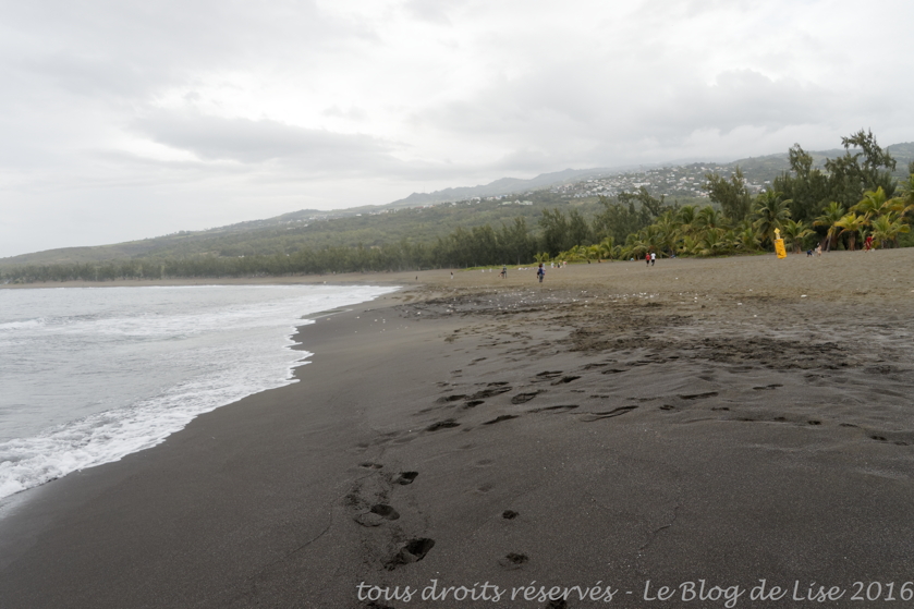 DSC02695_DxO