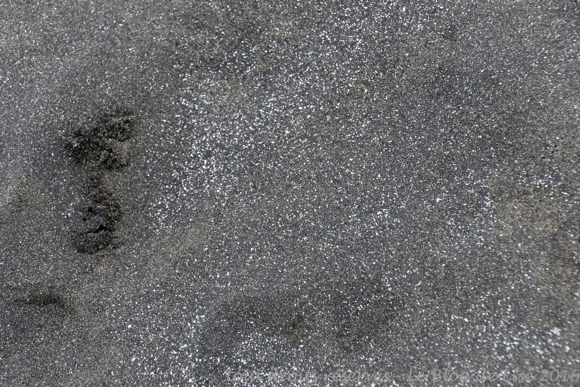 DSC02697_DxO