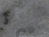 DSC02697_DxO