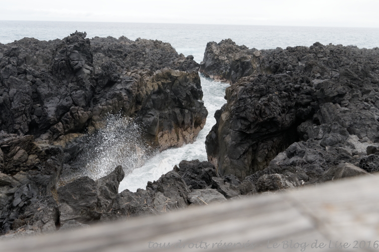 DSC02702_DxO