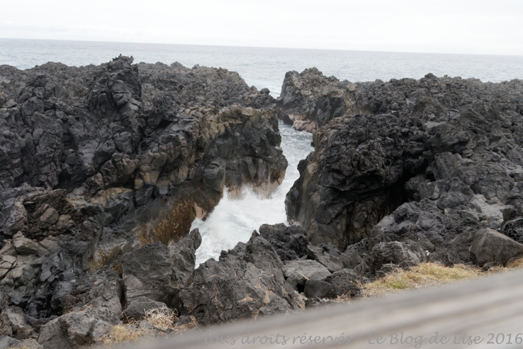 DSC02704_DxO