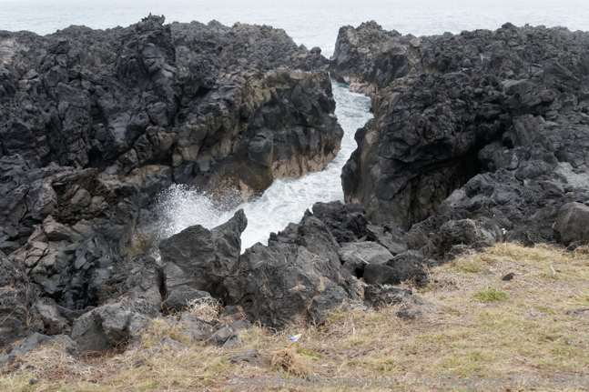 DSC02705_DxO