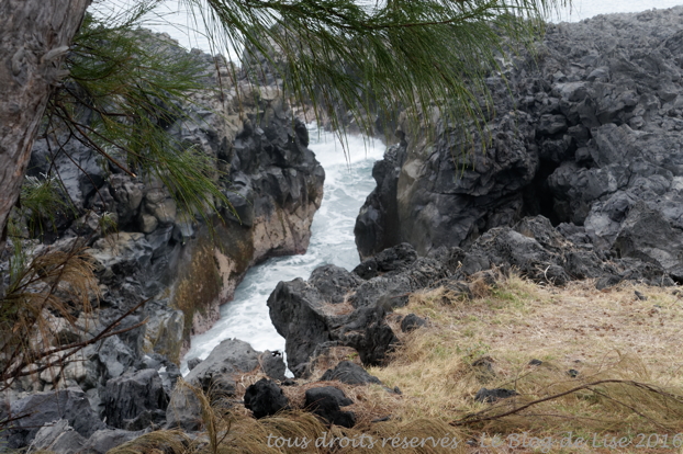 DSC02706_DxO