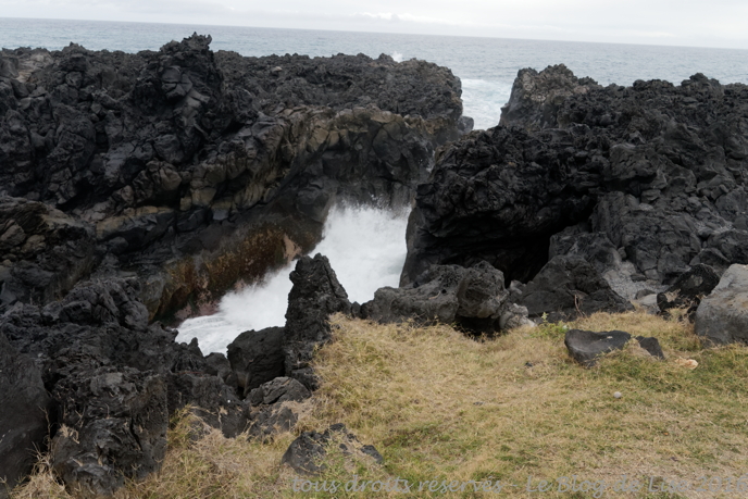 DSC02714_DxO