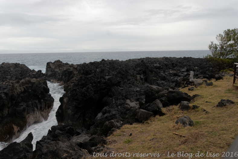 DSC02715_DxO