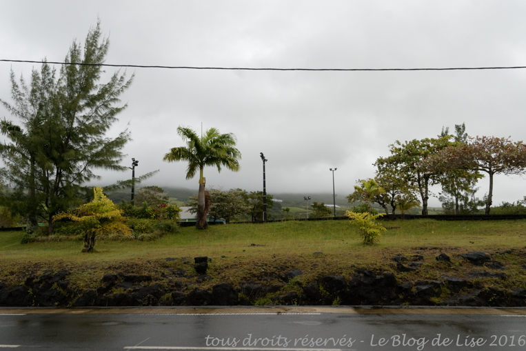 DSC02558_DxO