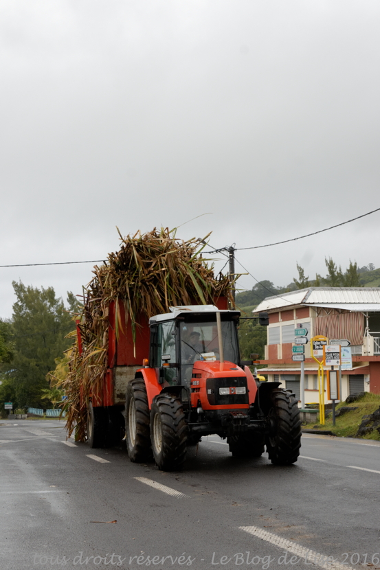 DSC02560_DxO