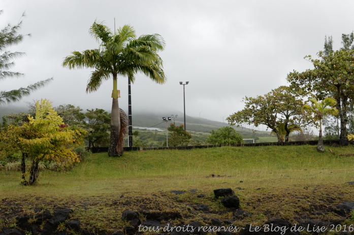 DSC02561_DxO