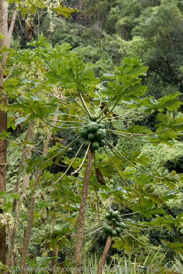 DSC02564_DxO