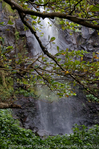 DSC02567_DxO