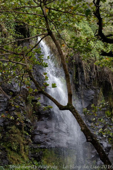 DSC02568_DxO