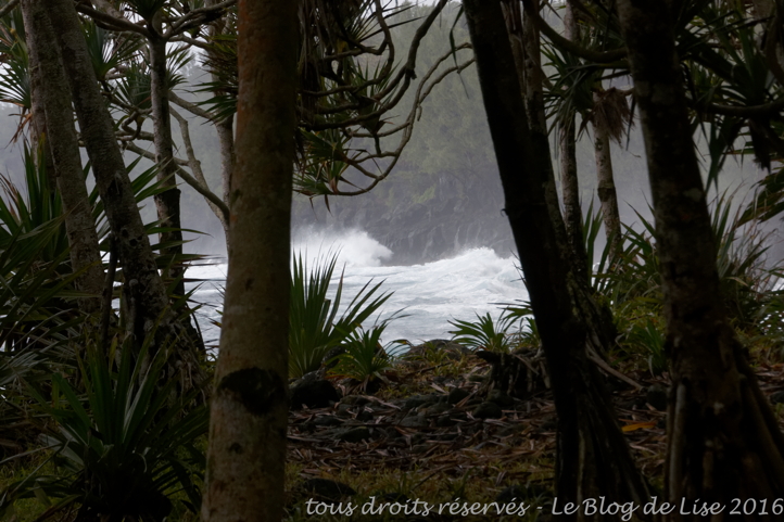 DSC02573_DxO
