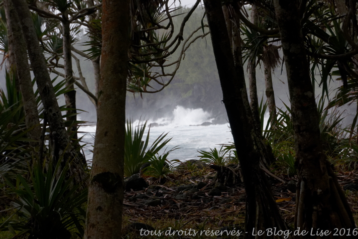 DSC02575_DxO