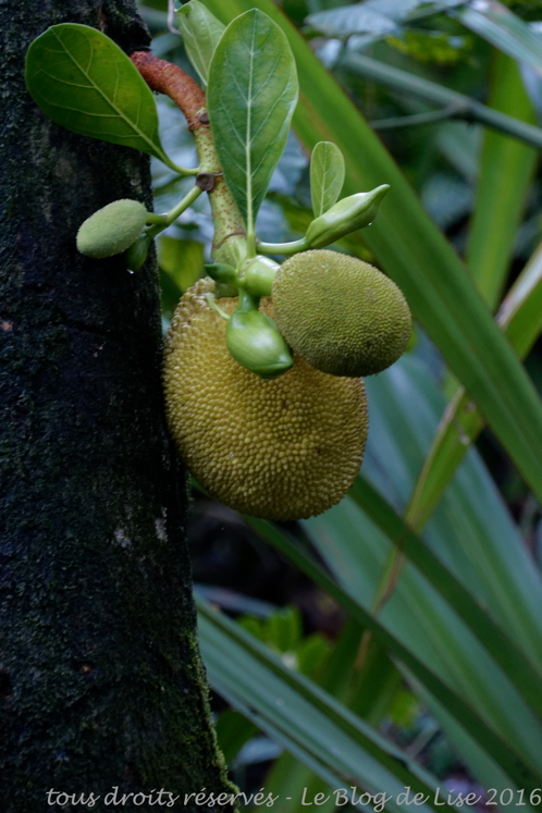 DSC02580_DxO