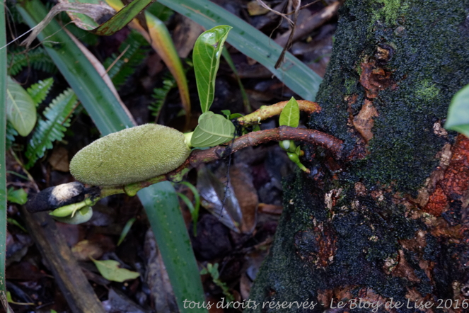 DSC02583_DxO