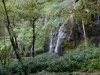 DSC02566_DxO