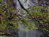 DSC02567_DxO