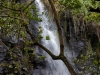 DSC02568_DxO