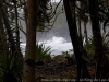 DSC02575_DxO