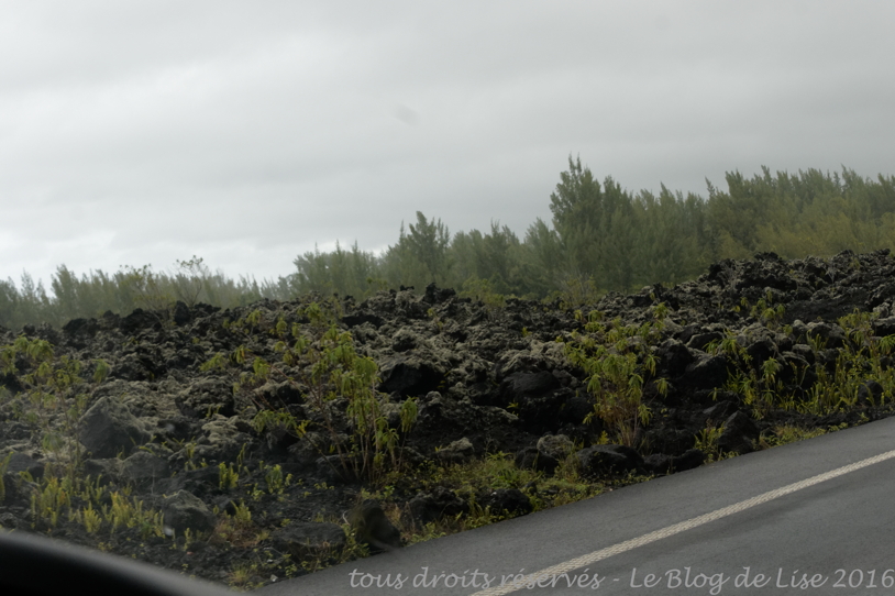 DSC02587_DxO