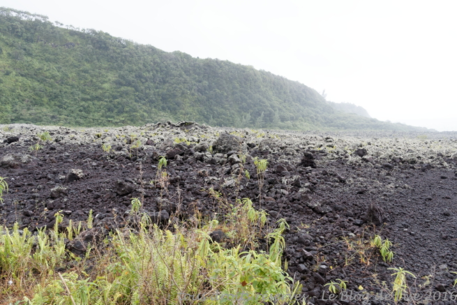 DSC02590_DxO