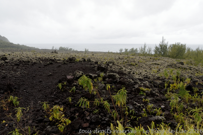 DSC02591_DxO