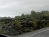 DSC02587_DxO
