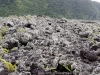 DSC02594_DxO