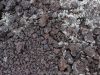DSC02599_DxO