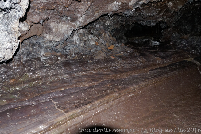 DSC02618_DxO