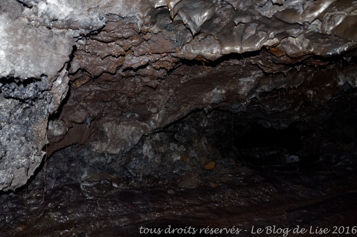 DSC02619_DxO