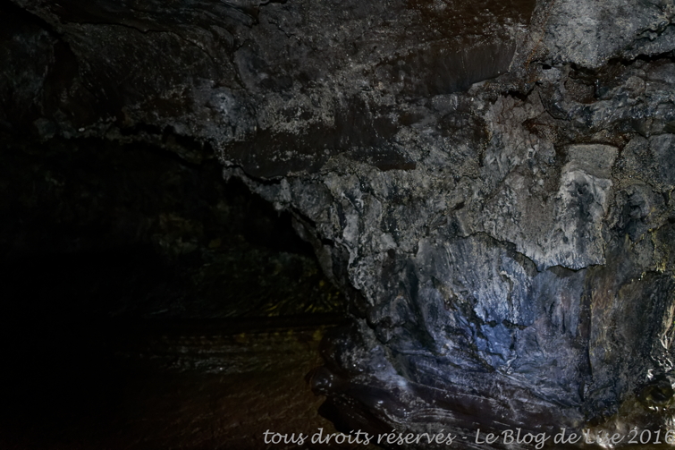 DSC02620_DxO