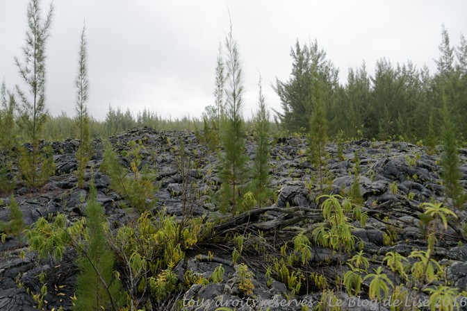 DSC02624_DxO