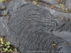 DSC02604_DxO