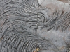 DSC02607_DxO