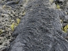 DSC02610_DxO