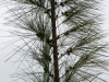 DSC02614_DxO