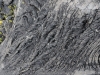 DSC02625_DxO