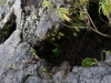DSC02632_DxO