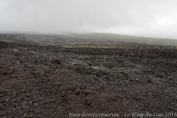 DSC02640_DxO