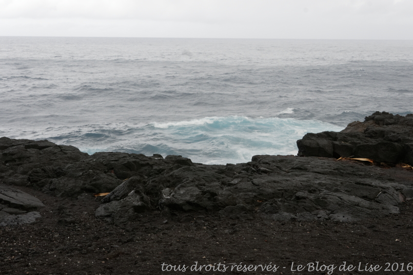 DSC02645_DxO