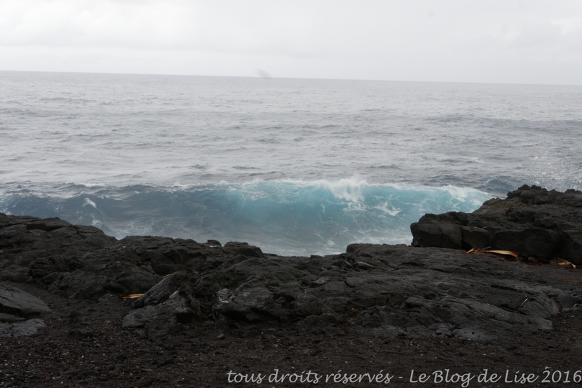DSC02646_DxO