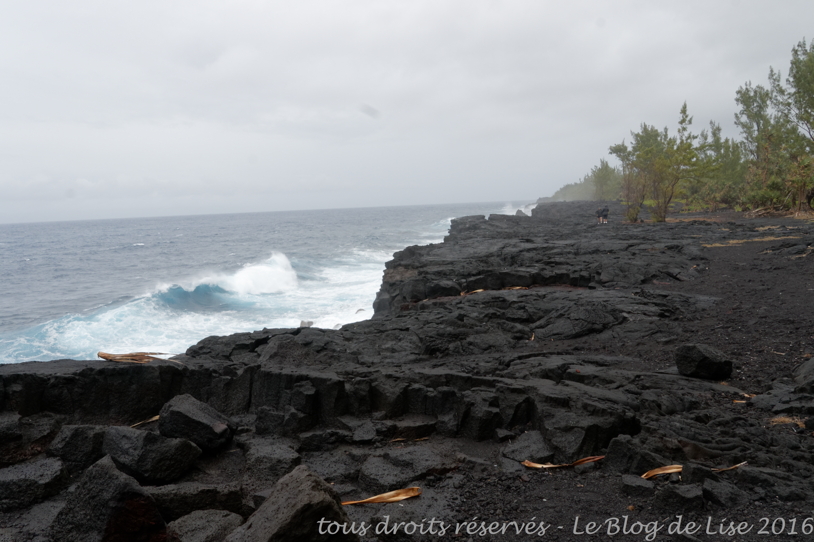DSC02654_DxO