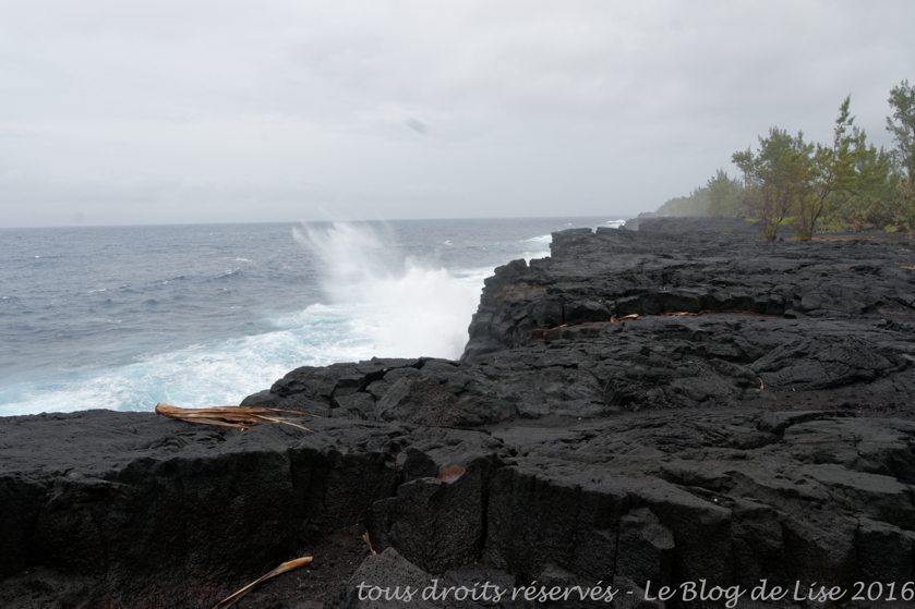 DSC02655_DxO