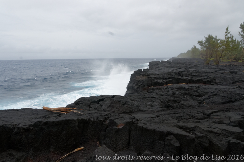 DSC02656_DxO