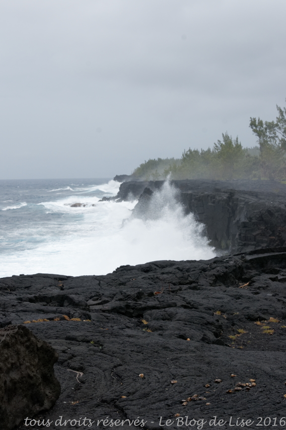DSC02659_DxO