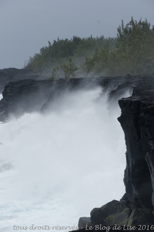 DSC02662_DxO