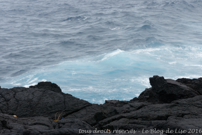 DSC02666_DxO