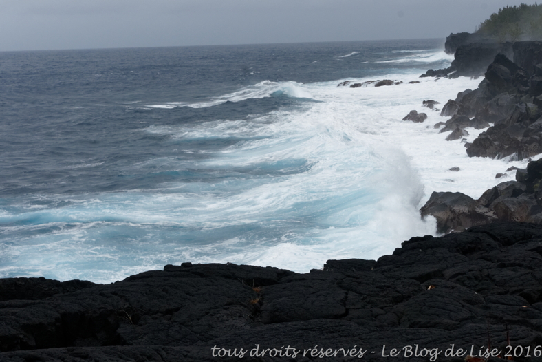 DSC02668_DxO