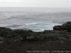DSC02645_DxO
